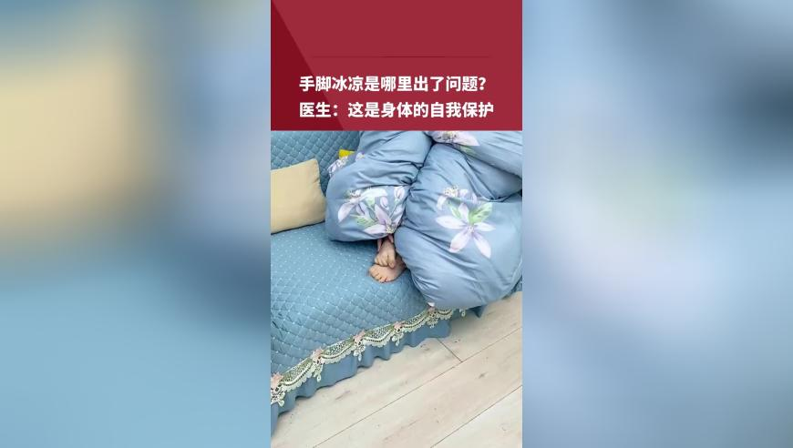 香港免费公开资料大全107期,魏锐冲击one踢拳世界冠军,精准解释落实及其象征意义_内测版V6.81