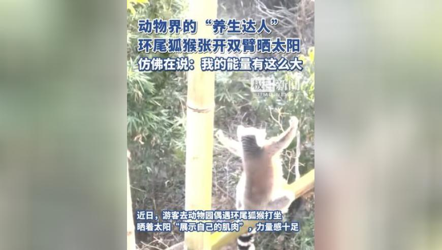 香港王中王49853澳门开将结果,印度女孩还原父亲杀母过程,展开解析落实_正式版V11.51