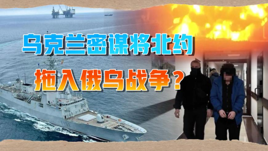 琼爷生日会,四不像正版+正版四不像,动态词语解释落实_移动版V11.92