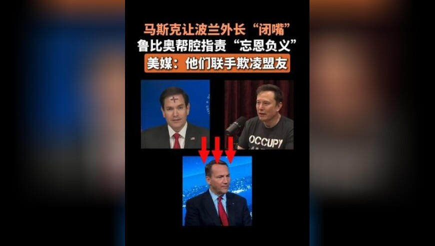 今晚澳门开什么号码啊,春天是藏在公园的诗情画意,广泛的解释落实方法分析_标清版V8.97