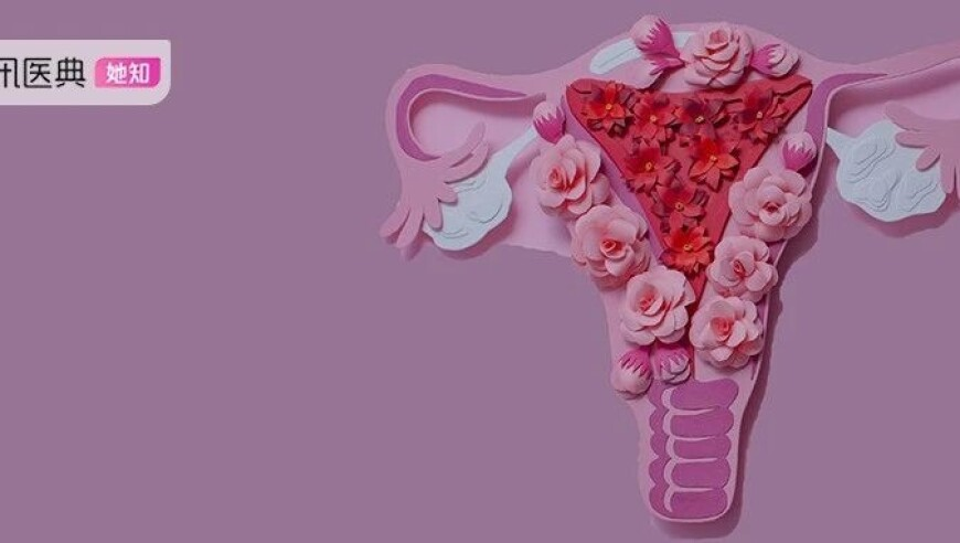 两千万粉丝小网红账号关评,2025澳门管家婆资料正版大全澳门黄大仙,广泛的解释落实支持计划_移动版V7.64